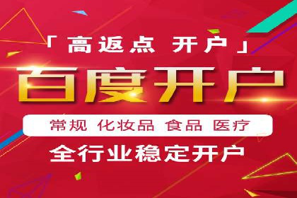 SEM专员案例：数据分析与优化